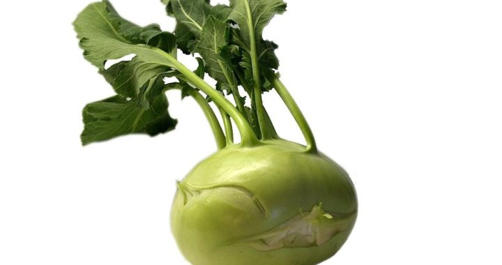 kohlrabi gesund