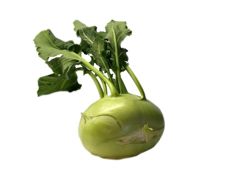 kohlrabi gesund