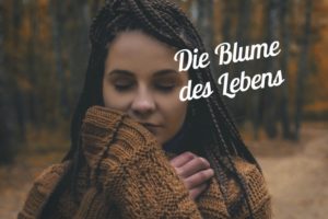 blume des lebens definition