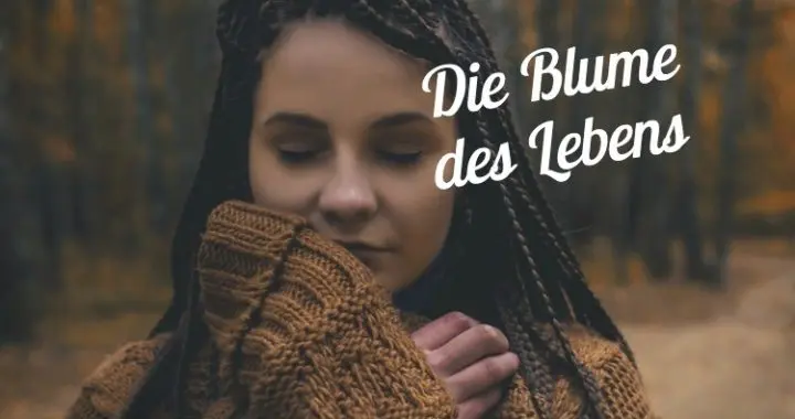 blume des lebens definition